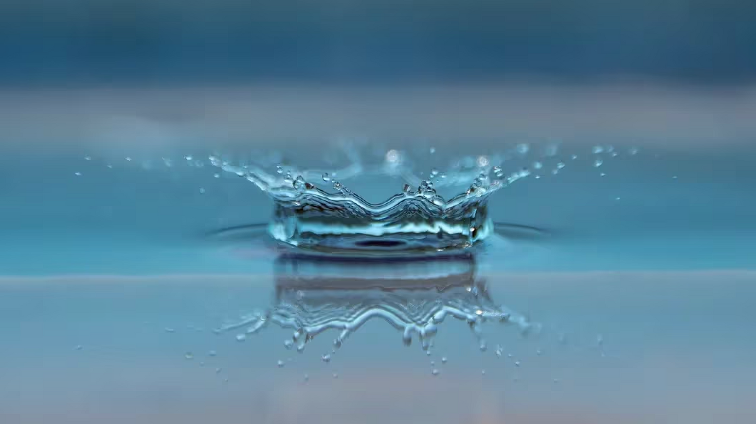 Blackrock, Fidelity Bitcoin ETFs Have a Liquidity Edge Over Grayscale: JPMorgan.
