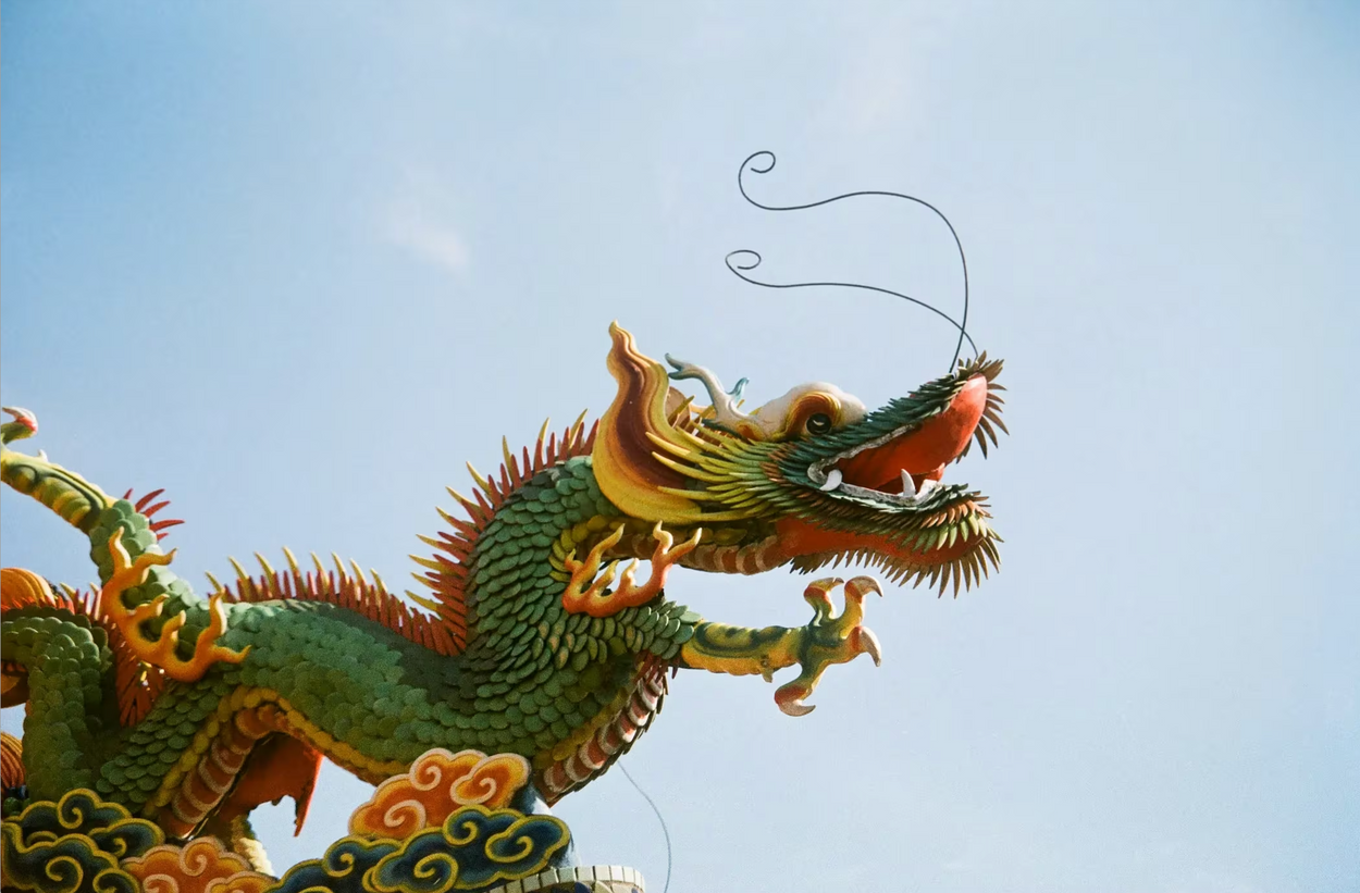 The Protocol: Solana's Missed Moment, Exclusive Farcaster Q&A, Bullish Year of Dragon.